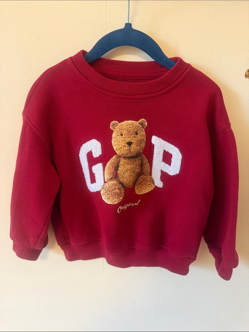 GAP Burgundy Teddy Logo Sweatshirt